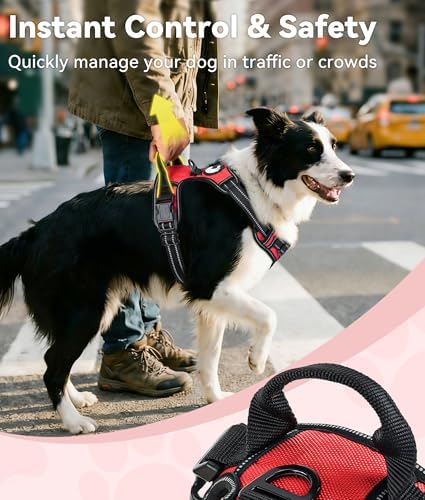 Joytale No Pull Dog Harness Medium Sized Dog, Front Clip - Image 3