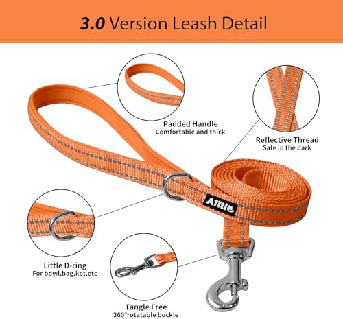 AIITLE Medium Dog Harness and Leash Set, Step-in Puppy Pet Vest - Image 3