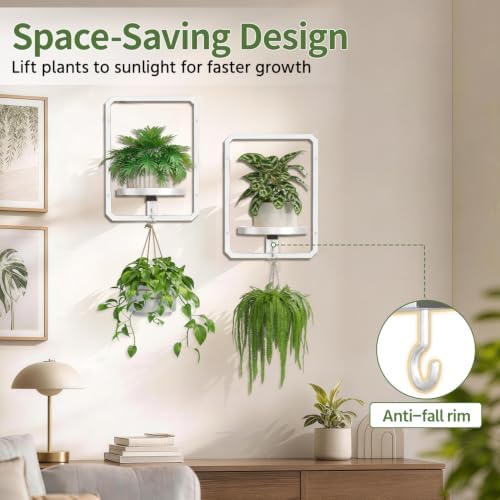 LASZOLA Plant Picture Frame Holder Shelf Wall Window Indoor - Image 4