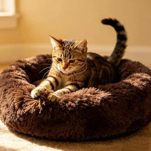 Cat Beds for Indoor Cats - Image 2