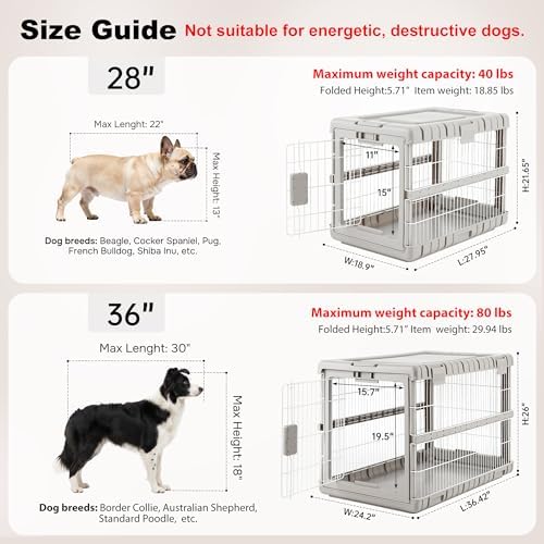 ZOMISIA 36" L Collapsible Dog Crate - Image 3