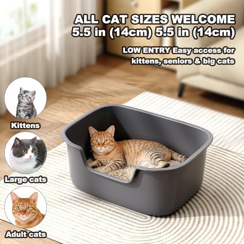 Large Open Cat Litter Box with High Sides, Anti-Splashing - Image 5