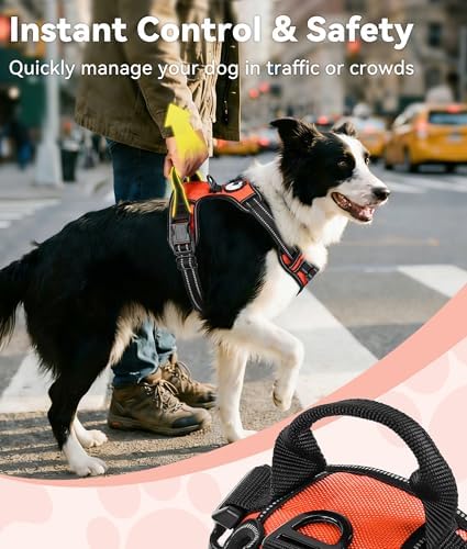 Joytale No Pull Dog Harness for Large Dogs, Front Clip - Image 3