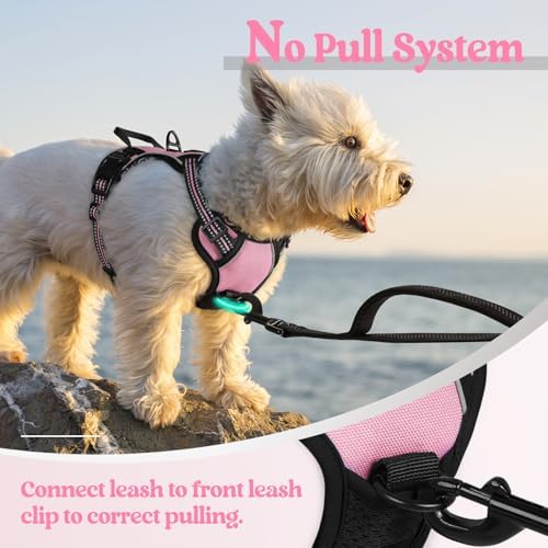 rabbitgoo Dog Harness No Pull - Image 5