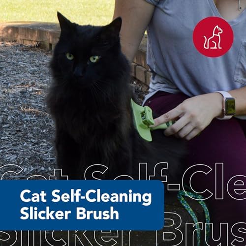 Coastal Pet Safari Cat Self Cleaning Slicker Brush, Cat Grooming Supplies - Image 2