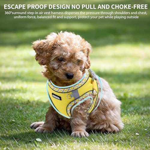 AIITLE Small Dog Harness and Leash Set - Image 5