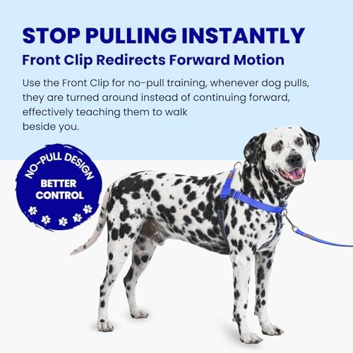 No Pull Dog Harness Front Clip, Medium/Large - Image 2