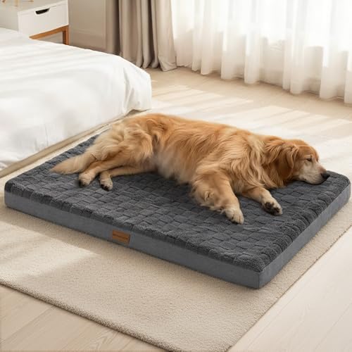 Patas Lague Orthopedic Large Dog Bed Pet Crate Mat 56''X40'' Dark Grey by PatasLague