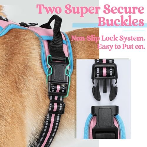 rabbitgoo Dog Harness, No Pull for Large Dogs - Image 4