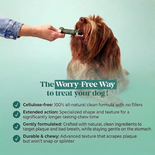 Pet Honesty Brush Buddies Vet Backed Dog Dental Chews - Image 6