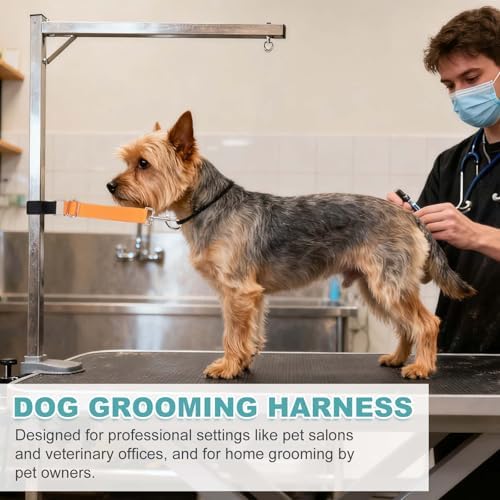 2Pcs Dog Grooming Loop, Adjustable, Fluorescent Green - Image 6