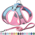 AIITLE Medium Dog Harness and Leash Set, Step-in Puppy Pet Vest by AIITLE-FORPETSBETTERLIFE