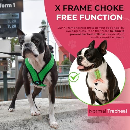 Gooby Comfort X Head-in Dog Harness, Choke-Free, Hunter Green - Image 5