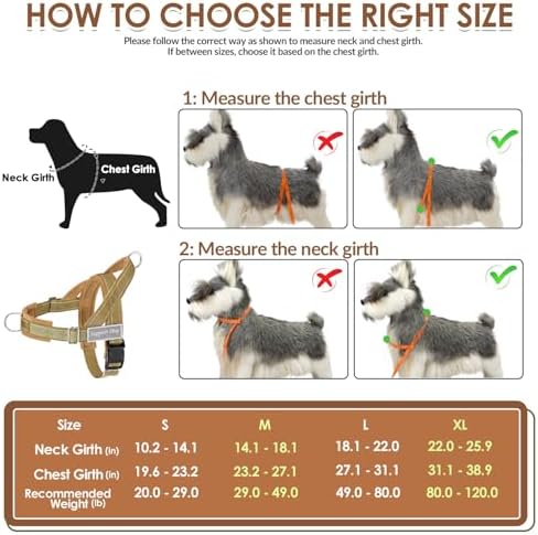SlowTon No Pull Dog Harness and Leash Set - Image 6