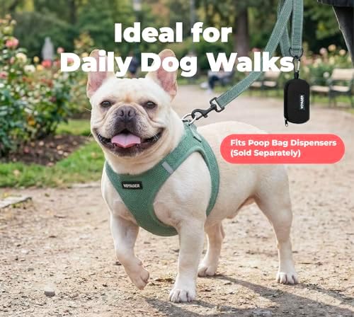 Best Pet Supplies Voyager Nylon Dog Leash - Image 3