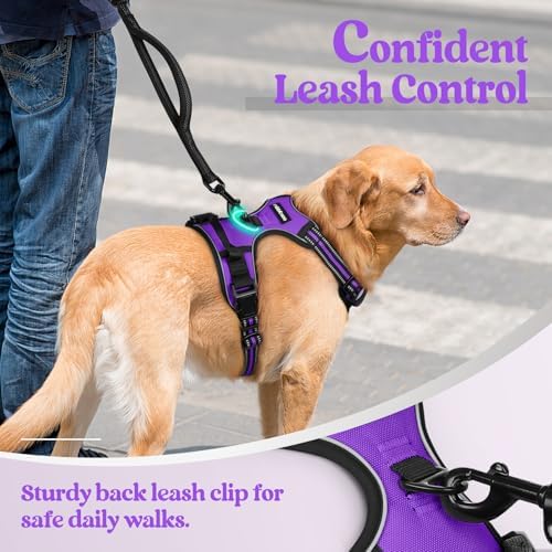 rabbitgoo Dog Harness, No Pull Medium Sized - Image 6