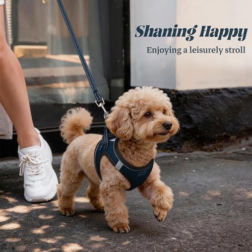 No Pull Dog Puppy Harness and Leash Set Reflective Mesh Vest Small - Image 6