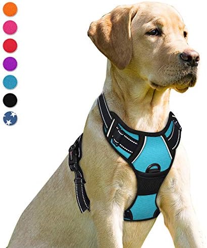 BARKBAY Dog Harness No Pull for Small Sized Dog Front Back Clips, Dog Vest by BARKBAY