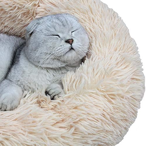 Cat Bed for Indoor Cats, Mini Plush Self Warming Kitten Bed, 20 Inch - Image 4