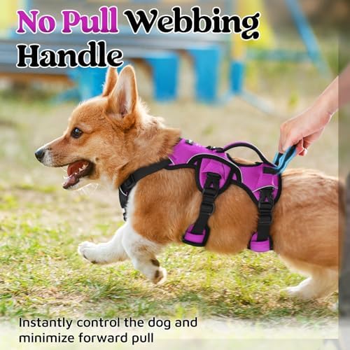 rabbitgoo Escape Proof Dog Harness - Image 4