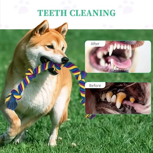 Dog Rope Toys for Large/Medium Aggressive Chewers, Tough Cotton Chew Toy - Image 5