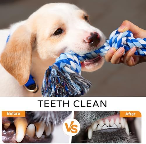 TLAZZ 2 Pack Chew Toys, for Aggressive Chewers - Image 5