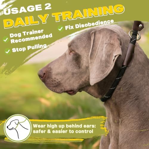 Fida Durable Slip Lead Dog Leash, 6 FT x 1/2" Dog Training Leash - Image 5