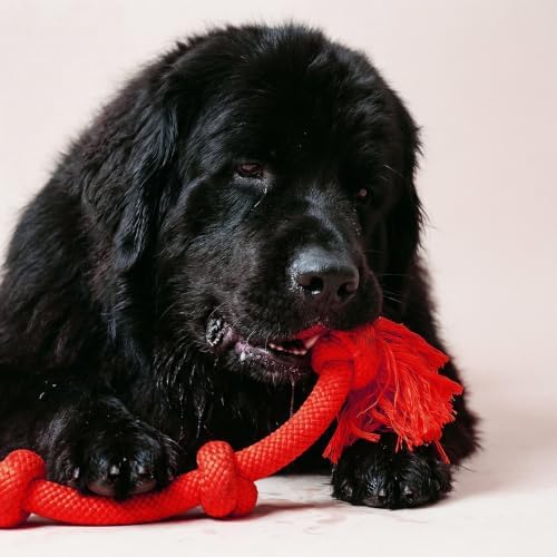 Playology Tug Rope Dog Toys for Large Breed Dogs - Image 3