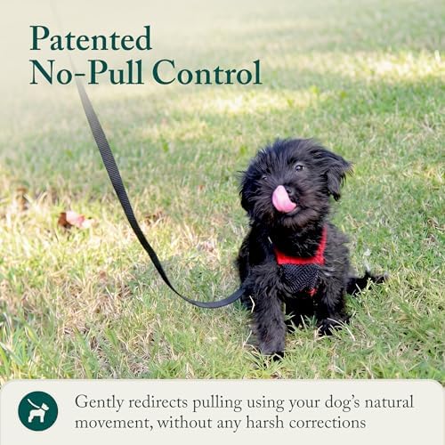 Sporn No Pull Dog Harness, Durable Nylon Mesh Harness - Image 6