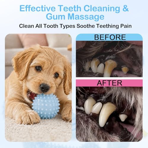 Puppy Toys, 6 Pack Dog Chew Toys, Teething Toys - Image 5
