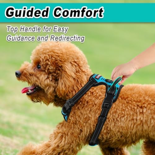 BARKBAY Dog Harness for Small Sized Dog No Pull 2 Leash Clips Dog Vest - Image 4