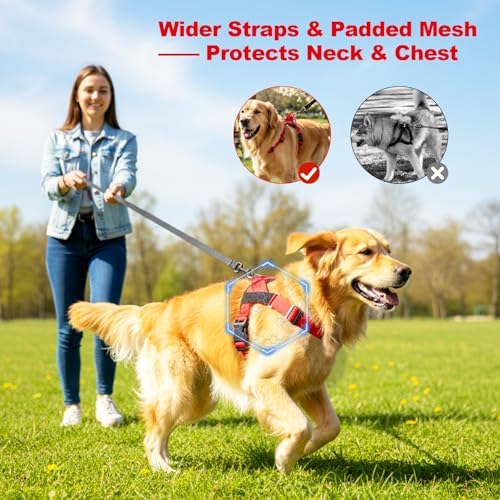 Pawly Lab Co No-Pull Harness, 3-Point Adjustable & Reflective（M） - Image 4