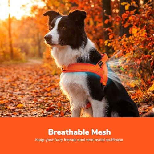 Didog No Pull Dog Harness for Medium Dogs, Breathable Mesh Padded - Image 2
