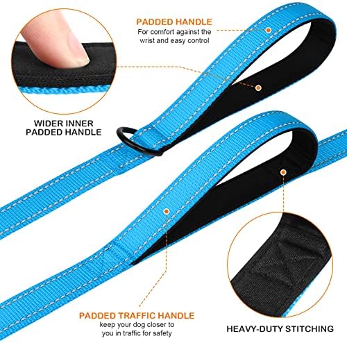 Joytale Dog Leash for Large Dogs that Pull, Double Handle, Aqua Blue - Image 2