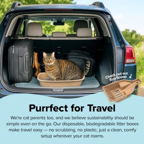 Kitty Sift Disposable Sifting Cat Litter Box Large, Durable and Portable - Image 6