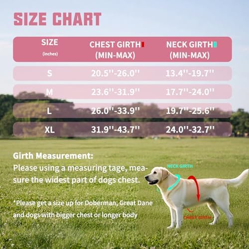 AUROTH Dog Harness and Leash Set Small Sized Dog, No Pull Escape Proof Vest - Image 6