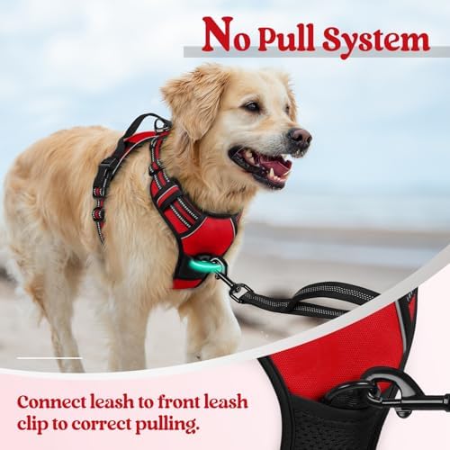 rabbitgoo Dog Harness, No Pull for Small Dogs - Image 5