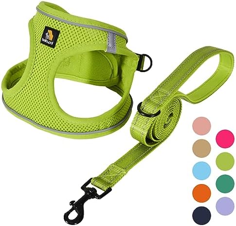BELLA & PAL Step in Puppy Harness and Leash Set by BELLAPAL