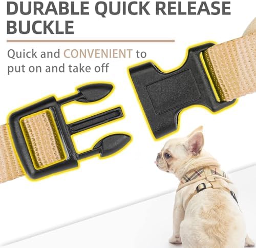 PUPTECK Small Dog Harness and Leash Set No Pull - Image 4