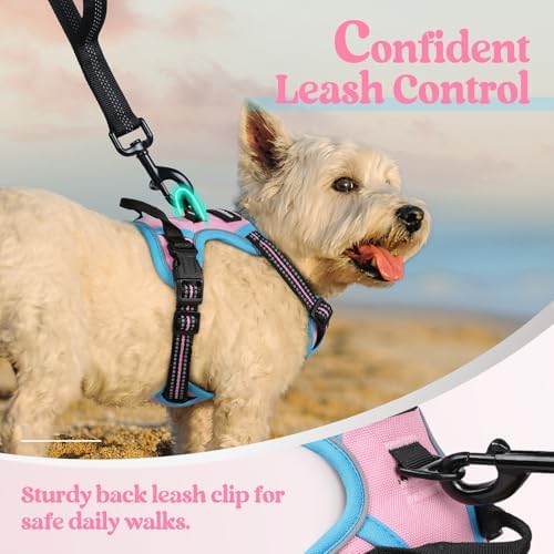 rabbitgoo Dog Harness, No Pull for Small Dogs - Image 6