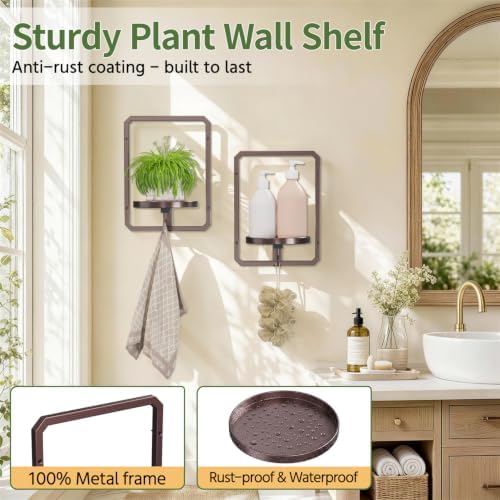 LASZOLA Plant Picture Frame Holder Shelf Wall Window Indoor - Image 6