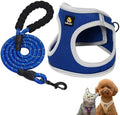 BELLA & PAL Step in Puppy Harness and Leash Set by BELLAPAL