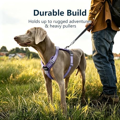 No Pull Dog Vest Harness Large Medium Small Sized Dog Friendly - Image 7