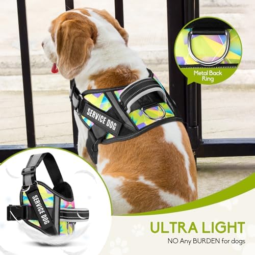Service Dog Harness and Leash Set, - Image 5