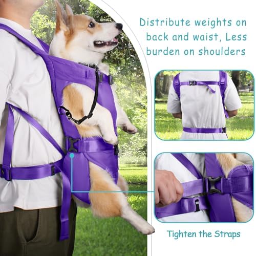 PetBonus Dog Front Carrier Backpacks, Legs Out Easy-fit Puppy Chest Carrier - Image 3