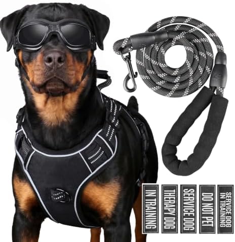 Dog Harness and Leash Set for Small Dogs, No Pull Tactical Dog Harness by Unknown
