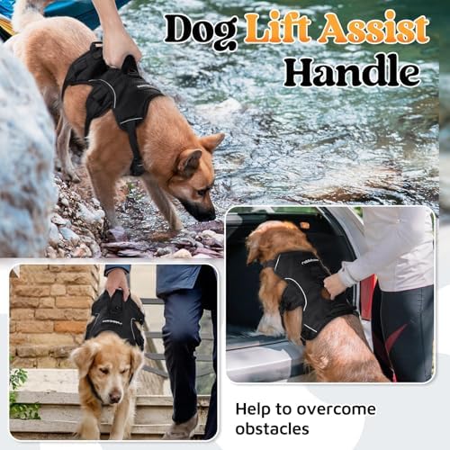 rabbitgoo Escape Proof Dog Harness - Image 3