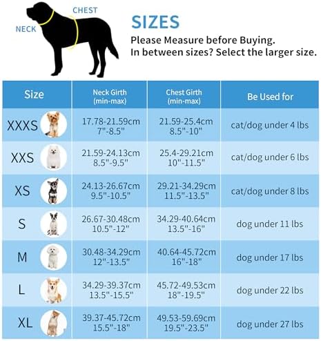 AIITLE Dog Harness and Leash Set, Step-in Puppy Pet Vest, Turquoise XXS - Image 2