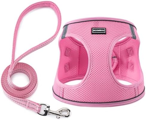 Dog Harness with Leash Set, Step-in Adjustable Puppy Pet Vest by BOOMIBOO