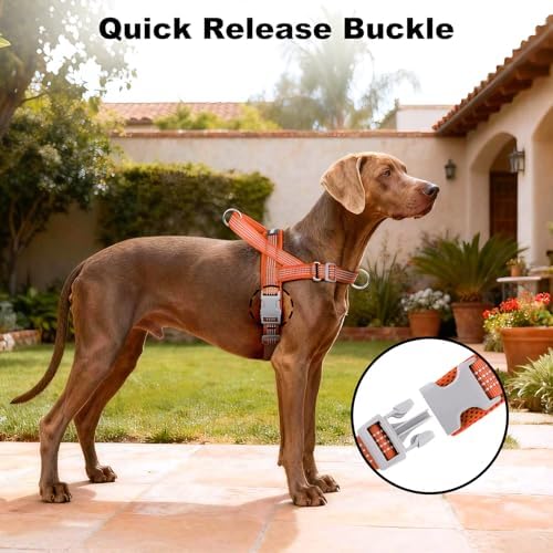 No Pull Dog Harness with Handle, Adjustable Soft Mesh Padded Vest - Image 6